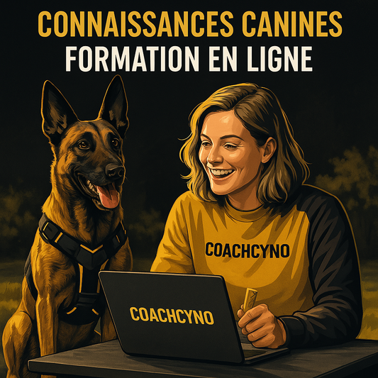 Formation en ligne - Connaître et Comprendre votre Chien : Fondamentaux & Bonnes Pratiques
