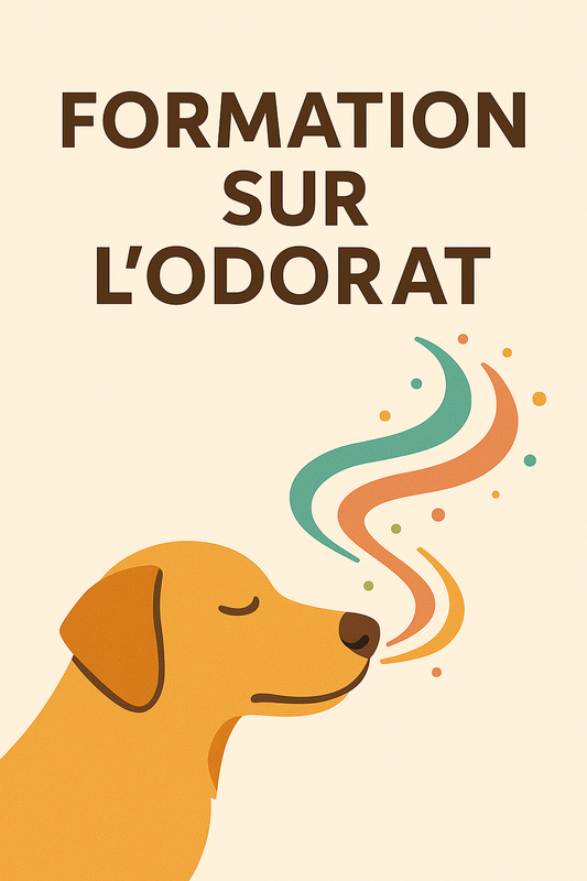 Mini Formation: L'odorat