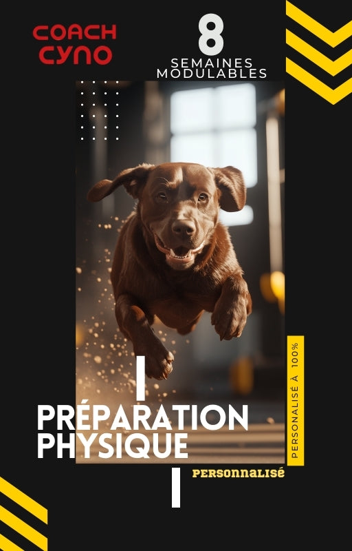 Programme 100% Sur Mesure - Préparation Physique et Sportive pour Chiens et Maîtres